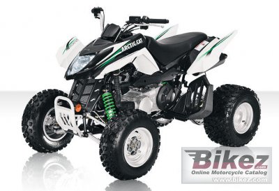 2010 Arctic Cat 300 DVX photo